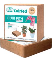 Pith Briquette