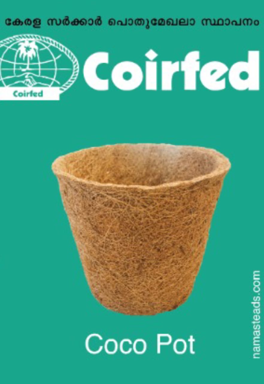 Coco Pot Natural